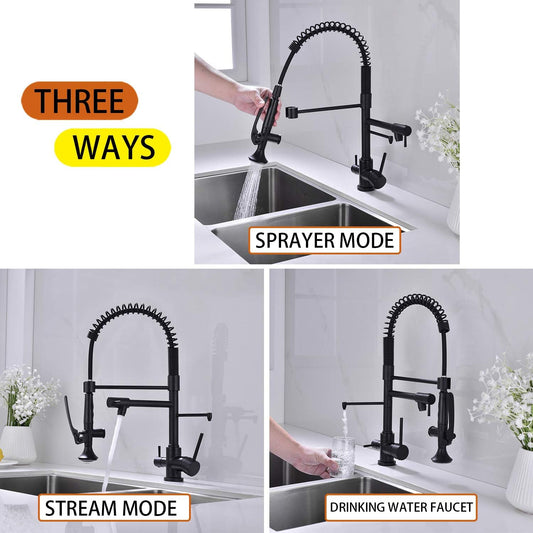 Avola Kitchen Faucet, Drinking Water Kitchen Sink Faucet, Handsfree Design Matte Black Kitchen Faucet with Sprayer, 360 Degree Swivel Pull Down Kitchen Faucet